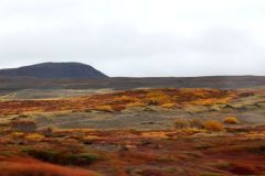 BijDettifoss-1