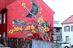 Reykjavik-7